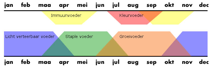 voederkalender koi